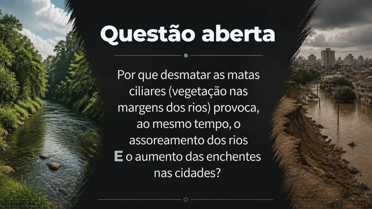 Slide 19